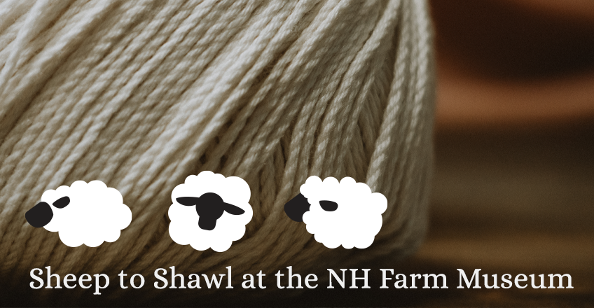 MAY 20: Sheep to Shawl